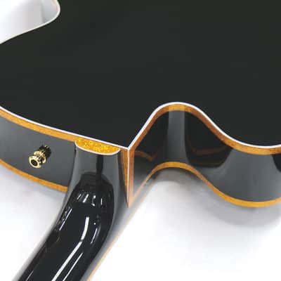Gretsch G6136TG Pro Players Edition Falcon Gold Hardware Ebony Fingerboard 2022 Black image 14