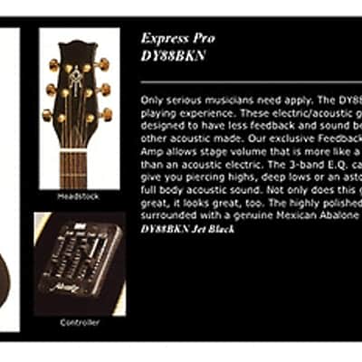 Alvarez Yairi DY-88 w/OHSC image 7
