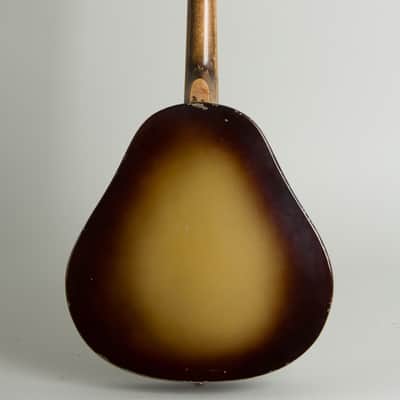 National  Triolian Resophonic Mandolin (1930), ser. #503W, gig bag case. image 2