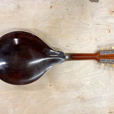 1919 Gibson A-2 Mandolin with Original Hard Shell Case image 6