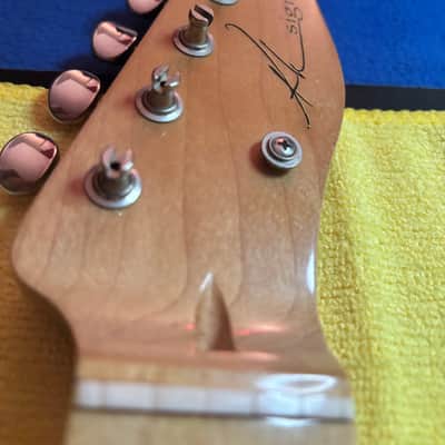 Ron Kirn USACG Tele Neck Texas Blues Profile image 8