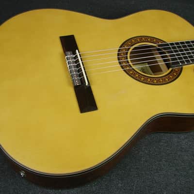Salvador Ibanez GA5TCE-14-01 Thinline Classical Acoustic/Electric Guitar image 3