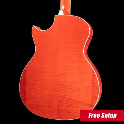 Taylor Doyle Dykes Signature Model Thin Body Grand Auditorium Acoustic/Electric Guitar with Hardshell Case image 2