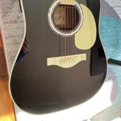 Esteban VL-100 Vintage Legacy Master Class Series 2010 Black image 2