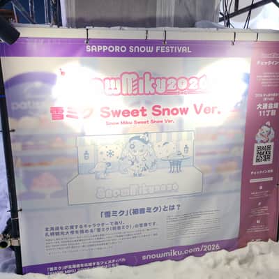 2026 ESP EDWARDS Platinum Edition E-STREAM CUSTOM SNOW HATSUNE MIKU - Sapporo Snow Festival Limited Edition Event Collaboration image 23