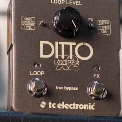 TC Electronic Ditto X2 Looper | Reverb Canada