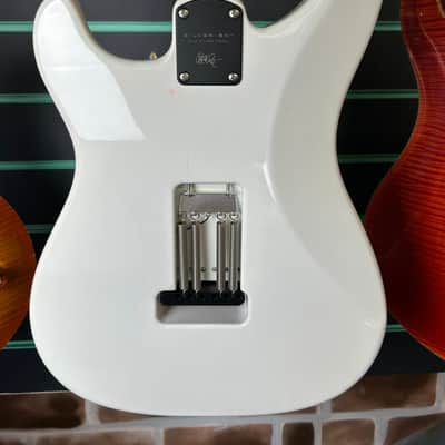 PRS Silver Sky John Mayer Signature Frost 2021 Electric Guitar image 14