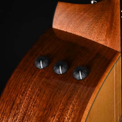Taylor 314ce Studio Special Edition Acoustic/Electric Guitar- Natural 2024 (1210114074) image 6