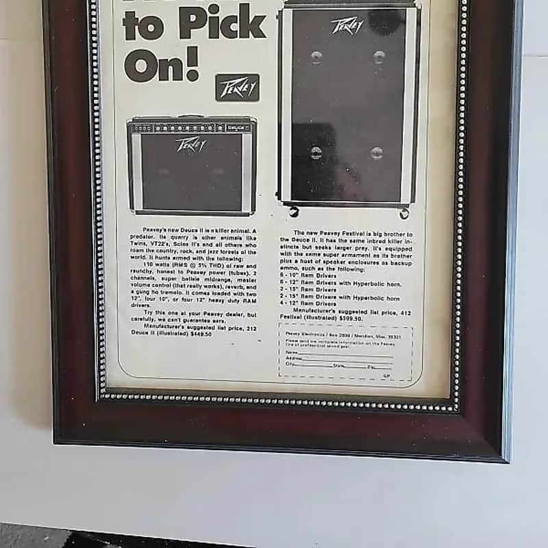 1974 Peavey Duece Bw