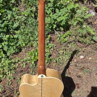Michael Kelly Dragonfly 4 acoustic bass image 9