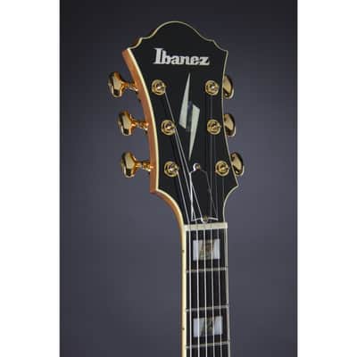 Ibanez PM200 Pat Metheny Signature NT Natural - Semi Acoustic Custom Guitar image 4