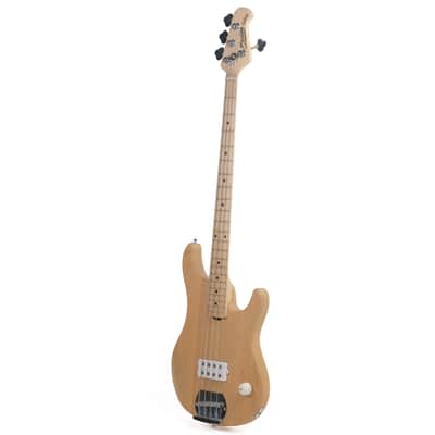 Sterling Joe Dart Owned by Miguel Briseño of Lord Huron image 2