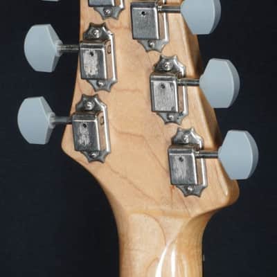 PAUL REED SMITH Silver Sky Rosewood Tungsten [20 0295914] (06/16) image 16