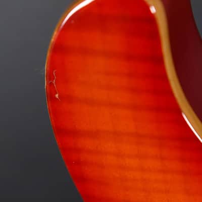 Paul Reed Smith SE Custom 22 '06 image 6