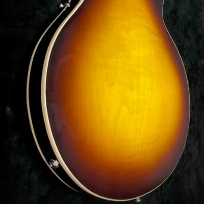 Heritage STD H-530 - Standard 2023 image 8