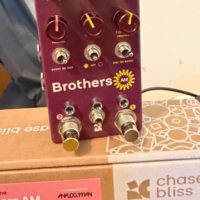 Chase Bliss Audio Brothers AM 2025 - Present - Various image 2