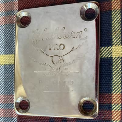 Chrome Washburn Pro Neck Plate, No Serial Number image 2