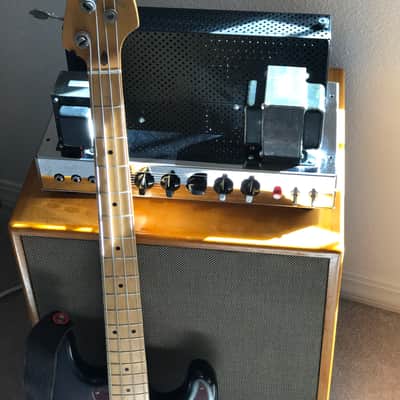 Trinity TripTop (Ampeg B-15 Clone) image 7
