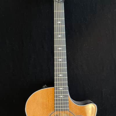 Taylor 314ce Special Edition Rosewood- Demo image 6