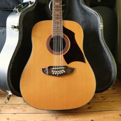 1978 Eko Rio Bravo 12 (Best Around) + Pro Setup + TKL Case (#32) image 21