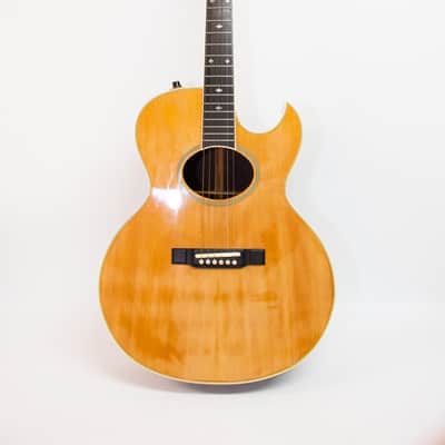 Washburn Tanglewood - Natural Rose Wood image 1