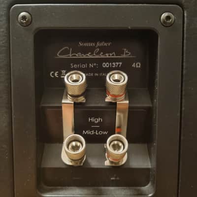 SONUS FABER Chameleon B 2015 - Black image 4