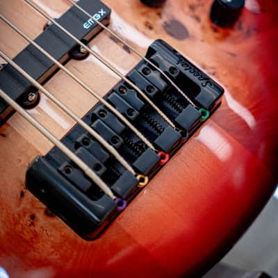 Spector Euro 5 CST - Natural Red Burst Gloss image 3
