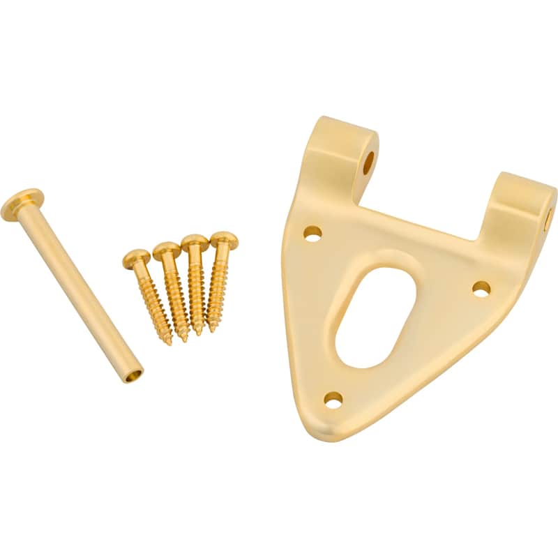 Bigsby Hinge, Conv., with Hinge Pin and Screws, Gold image 1