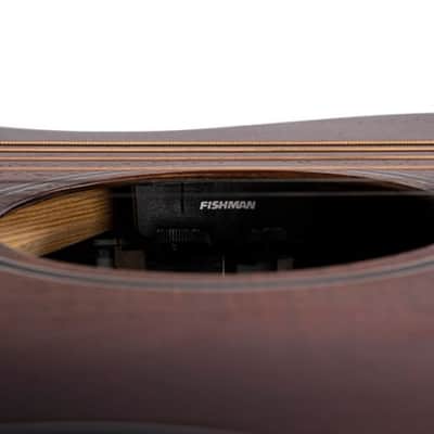 Cort COREOCOPLB Core Series Solid Mahogany Top 6-String Acoustic-Electric Guitar w/Deluxe Soft Case image 6