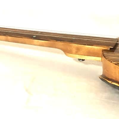 4 string Turtle shell slide guitar image 12