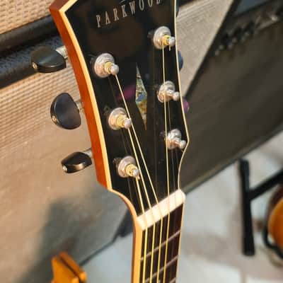 Parkwood PW-560 Electrified with Gigbag image 4