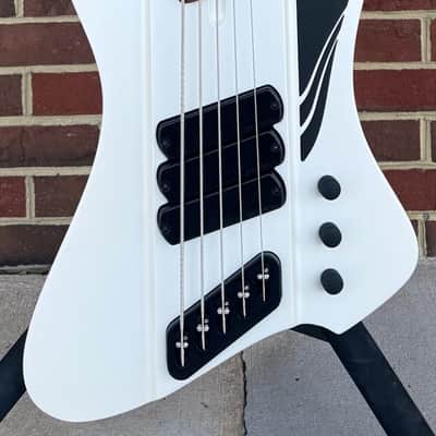 Dingwall D-Roc Standard 5-String, Matte Ducati Pearl White, Pau Ferro Fretboard, Dingwall Gig Bag image 2