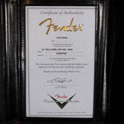 Fender Custom Shop 1961 Telecaster Heavy Relic - Roasted Body/Shoreline Gold image 14
