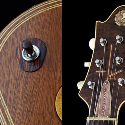 Jersey Girl Homemade Guitars - The first Audrey model ever made: "Audrey One" image 4
