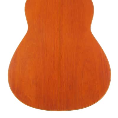 Manuel de la Chica 1957 - lightweight classical guitar with gorgeous sound - style of Santos Hernandez/Marcelo Barbero + Video! image 10