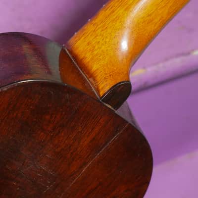 1920s Mendel's (Oscar Schmidt) 6-String Tenor Ukulele Conversion (VIDEO! Fresh Work, Ready) image 12