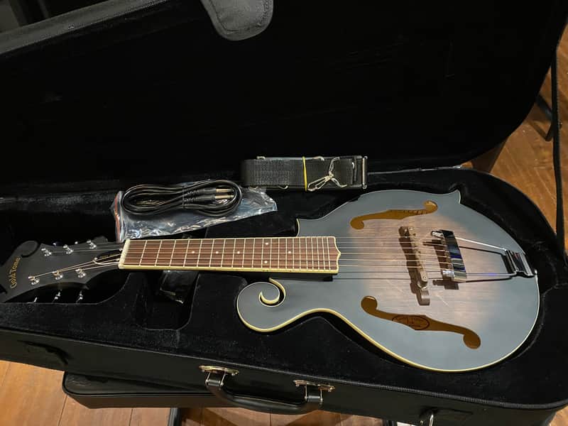 Gold Tone Manditar Mandolin F6  Satin Fast Shipping Acoustic/ Electric image 1