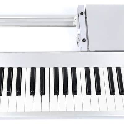 Korg RD-KB 49-keys Keyboard for RADIAS RAck / with connect cable Keyboard Tastatur RD-KB + 1J GEWÄHR