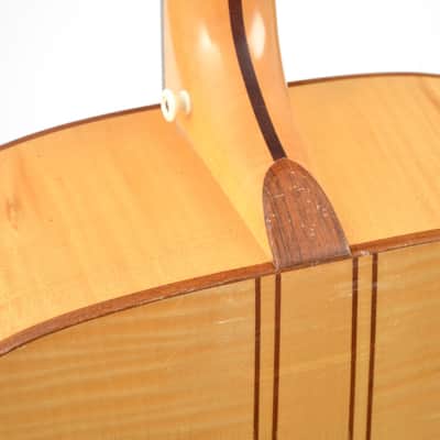 Barry Ford Acoustic Bass Guitar 1996 image 10