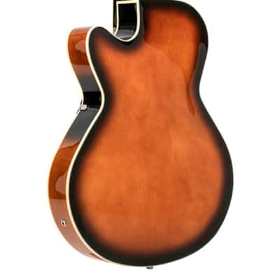 Gold Tone Acoustic Electric Mandocello, Mandolin Cello Hybrid Instrument w/Case image 10