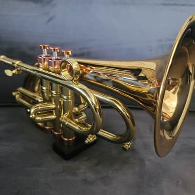 Carol Brass Compact Flugelhorn / Taylor Phat Puppy 2023 - Polished / Lacquered image 19