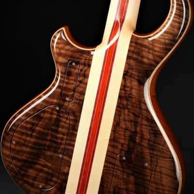 Alembic Darling - Fancy Walnut/Demo image 12