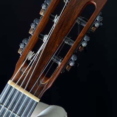 Kenny Hill 7 String Classical Cutaway Crossover Seven String image 10