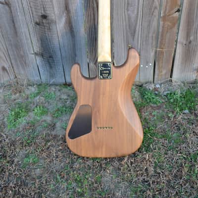 Charvel 1984 custom built electric with stratocaster style body image 2