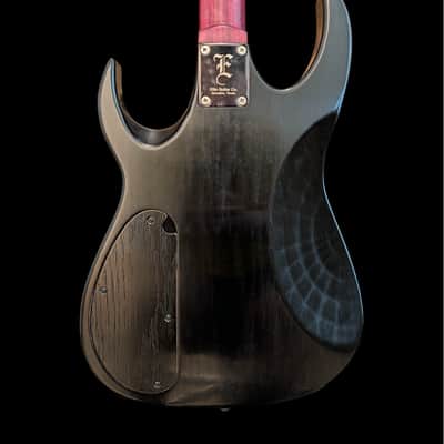 Ellis Guitars IR2 image 3
