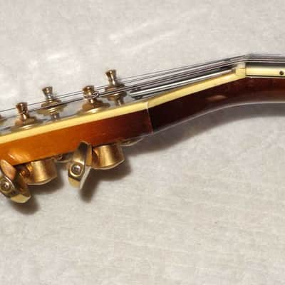 1979 Bradley Epiphone Emperor Thinline, Vintage Sunburst, High-End Matsumoku Semi Hollow image 9
