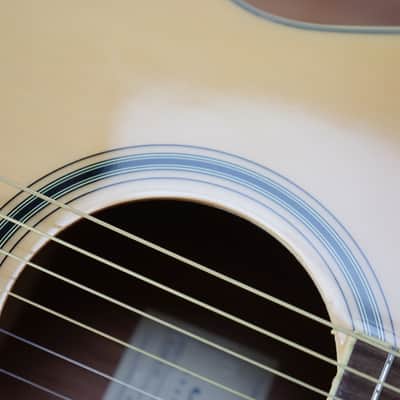 Ibanez PC15ECENT Performance Sapele / Nyatoh Grand Concert with Cutaway - Natural image 21