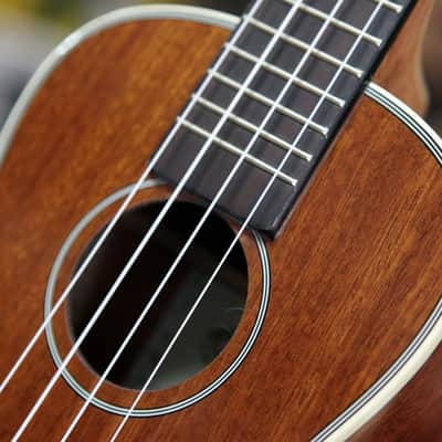 Kala KA-CG Gloss Mahogany Concert Ukulele image 3