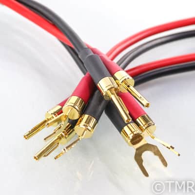 Shunyata Delta V1 Speaker Cables; 2.5m Pair image 1