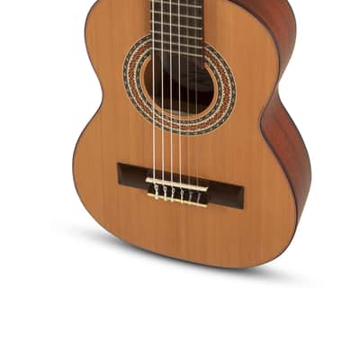 Manuel Rodriguez T-44 TRADICÍON Series 1/4 Size Solid Cedar Top Mahogany Neck Nylon 6-String Classical Acoustic Guitar image 4